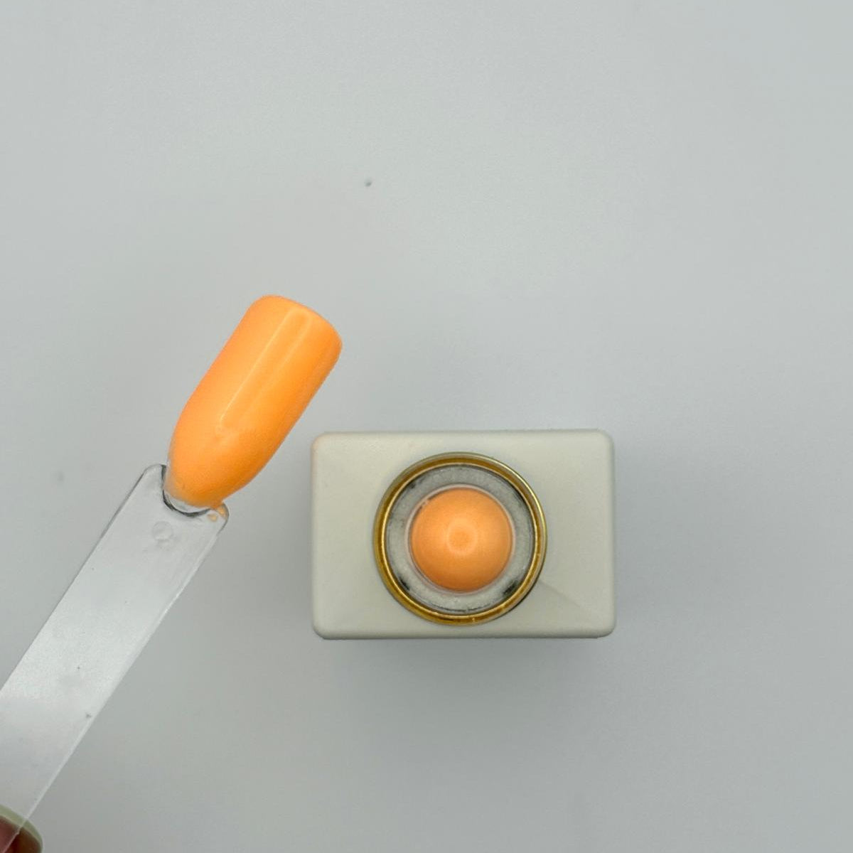 Apricot