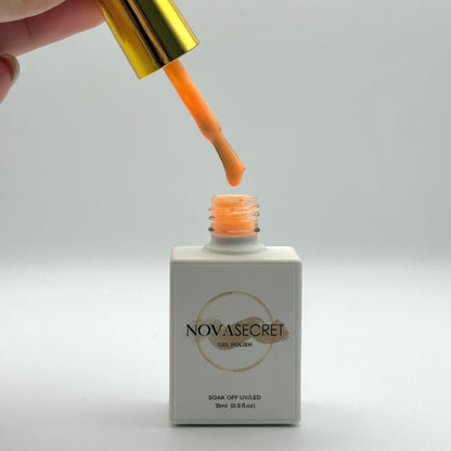 Apricot