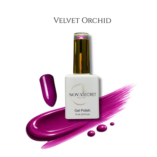 Velvet Orchid
